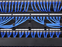 Data network installation by Craig Garner Electrical Ltd. Surrey